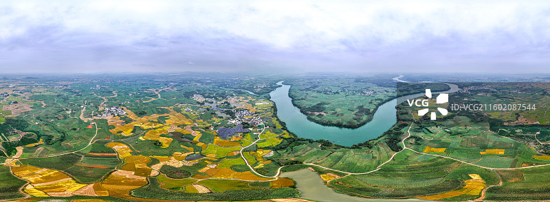 广西蔗乡——来宾市兴宾区大湾镇：万亩水稻和糖料蔗进入丰收季节图片素材