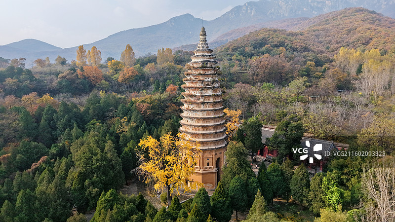航拍河南登封嵩山脚下嵩阳景区嵩岳寺塔秋景，千年北魏古塔图片素材