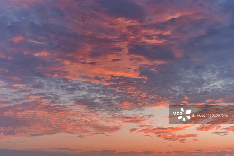 深圳西湾红树林，海上晚霞浸染金色航道  关键词：图片素材