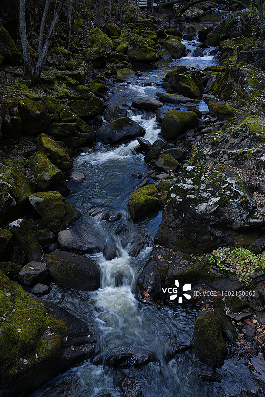伊春嘉荫茅兰沟国家森林公园图片素材
