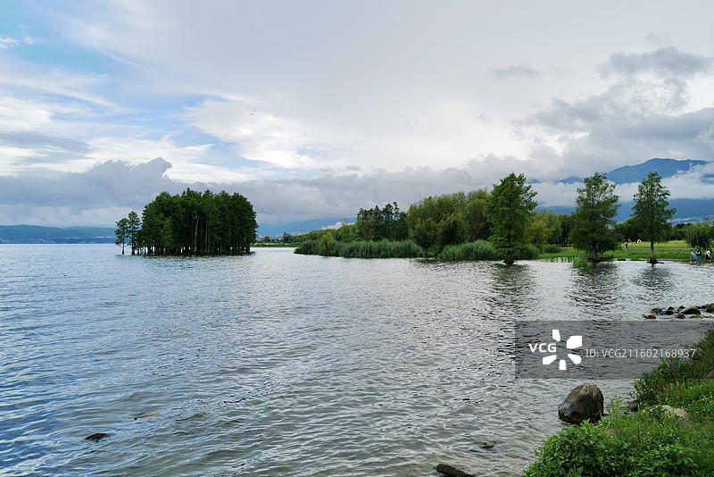 云南大理洱海环海西路龙龛码头龙龛夫妻树附近洱海自然风光图片素材