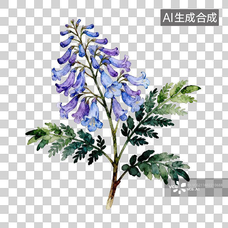 【AI数字艺术】紫堇花的水彩插画图片素材