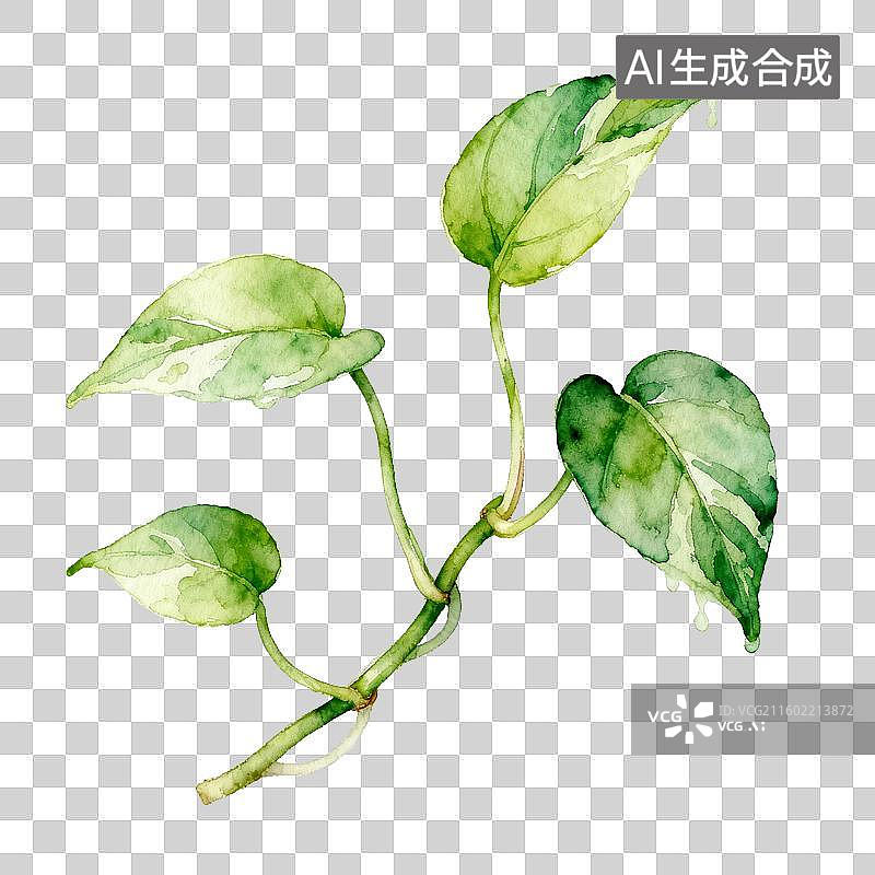 【AI数字艺术】绿萝植物水彩插画图片素材