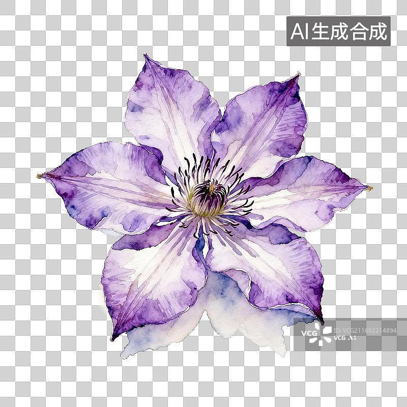 【AI数字艺术】紫色铁线莲水彩画图片素材