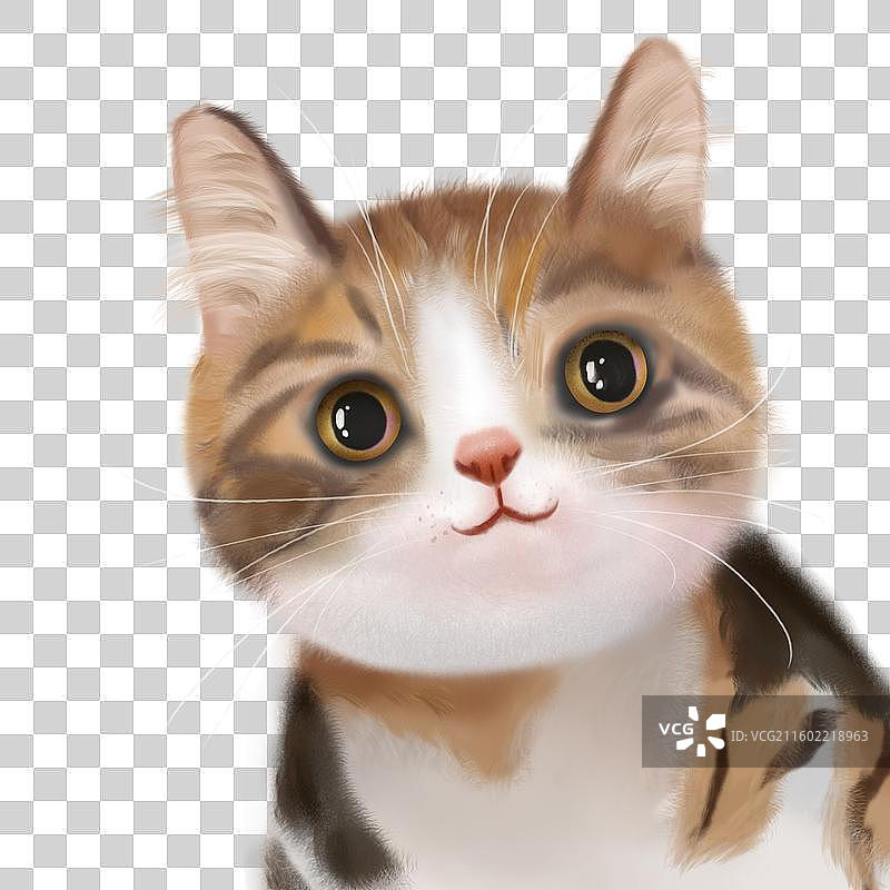 三花猫彩狸狸花猫中华田园猫故宫猫如意原创免抠插图图片素材