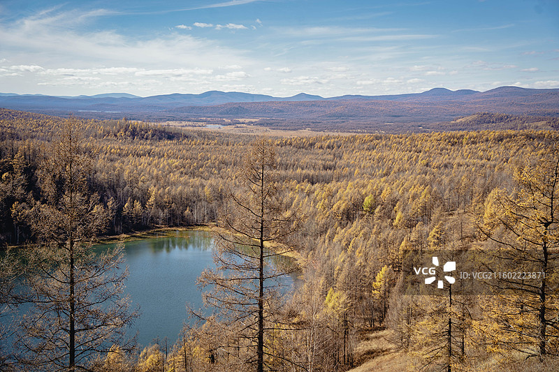 秋天的阿尔山 驼峰岭 杜鹃湖图片素材