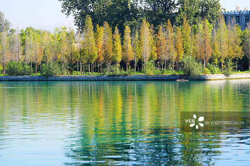 河南辉县百泉湖公园图片素材