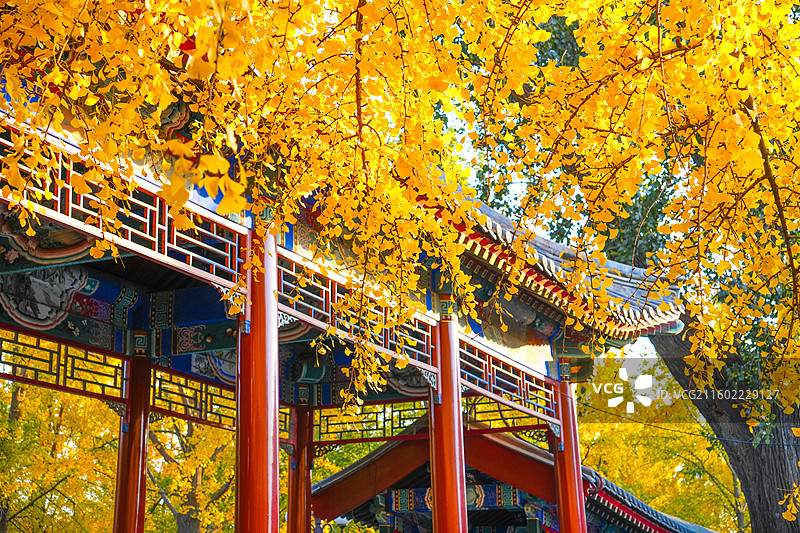 秋日皇家园林风光图片素材