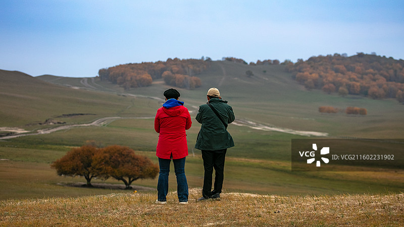 内蒙古乌兰布统坝上网红“夫妻树”秋天的景色图片素材