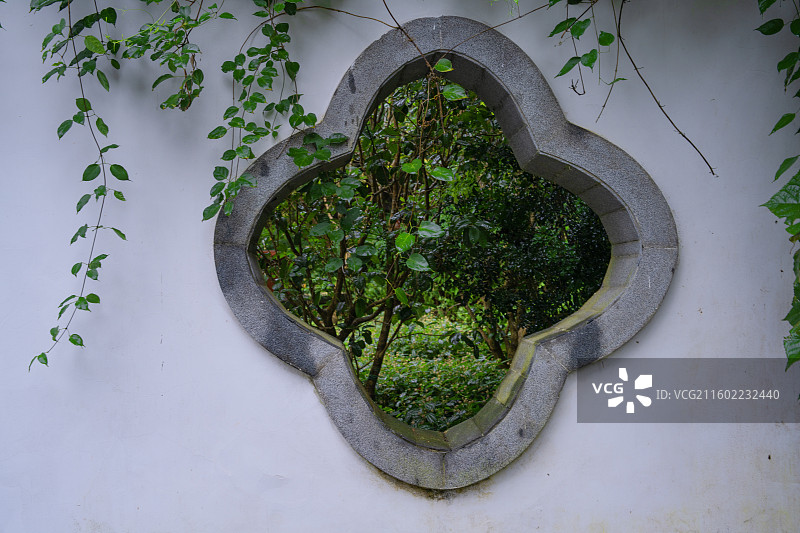 雨中的南宁市青秀山桂花园美丽风景图片素材