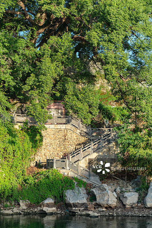 汀江畔古树名木与古建筑，福建长汀图片素材