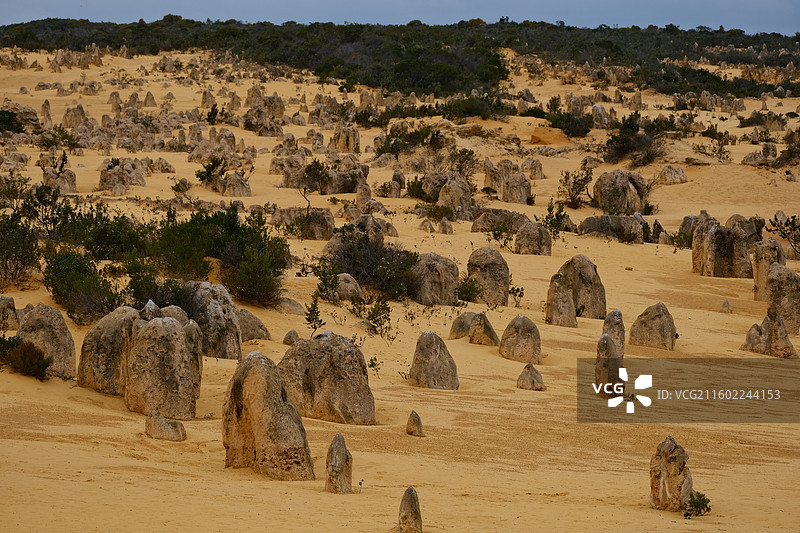 尖峰石阵的形成是根的留痕图片素材