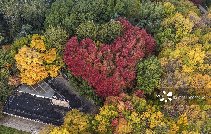 秋韵晨画：银河公园的镜影诗篇图片素材