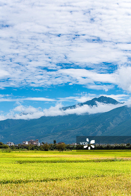中国云南省大理白族自治州鹤庆县东草海国家湿地公园附近田园风光图片素材
