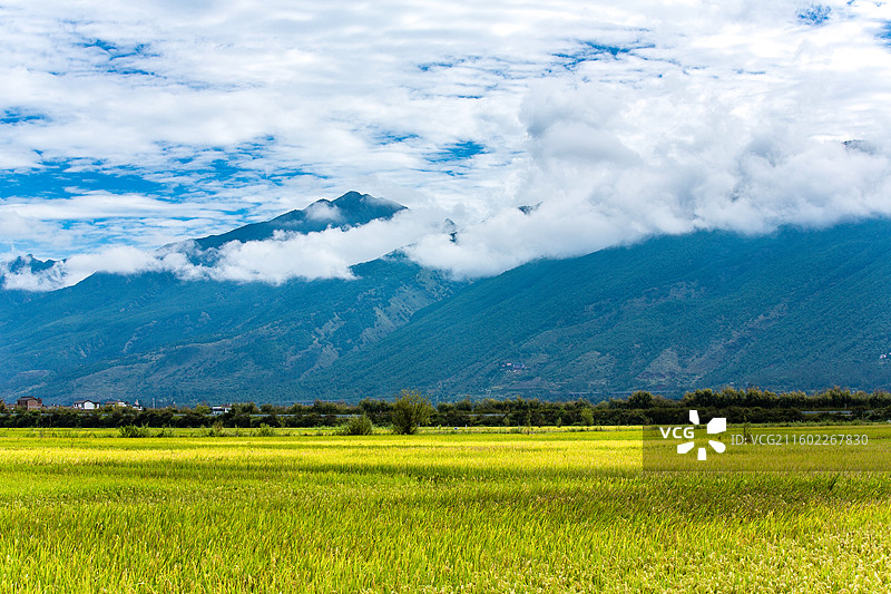 中国云南省大理白族自治州鹤庆县东草海国家湿地公园附近田园风光图片素材