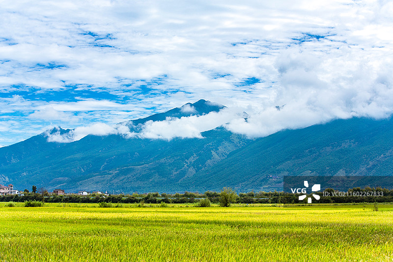 中国云南省大理白族自治州鹤庆县东草海国家湿地公园附近田园风光图片素材