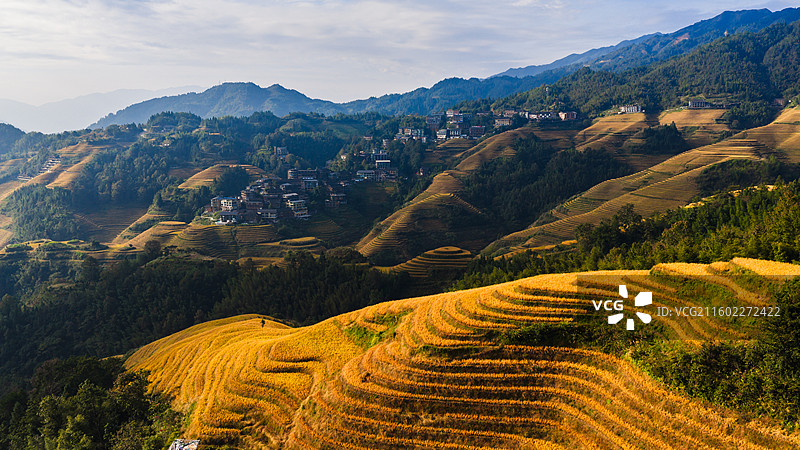广西桂林龙胜龙脊梯田金黄稻子大山农村寨子风光图片素材