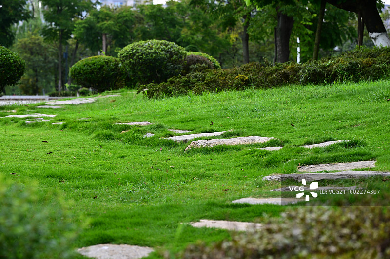 成都北湖生态公园图片素材