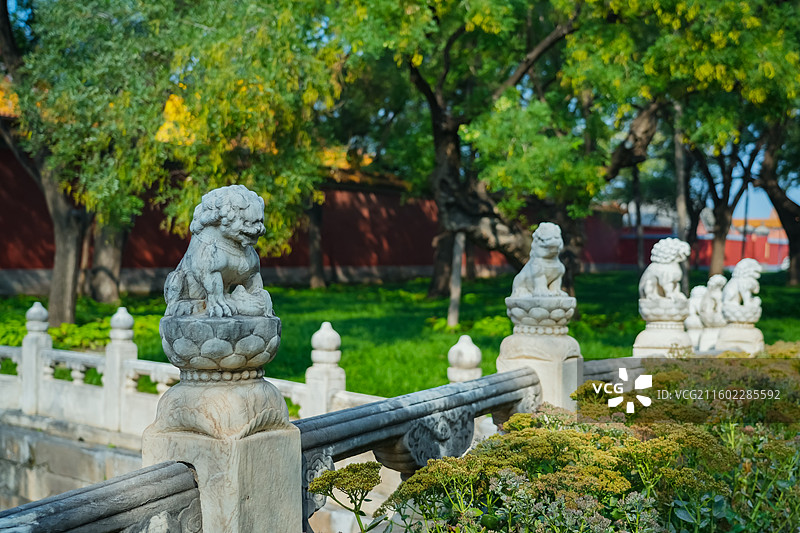 北京故宫博物院  断虹桥石狮子  明清皇宫 紫禁城图片素材