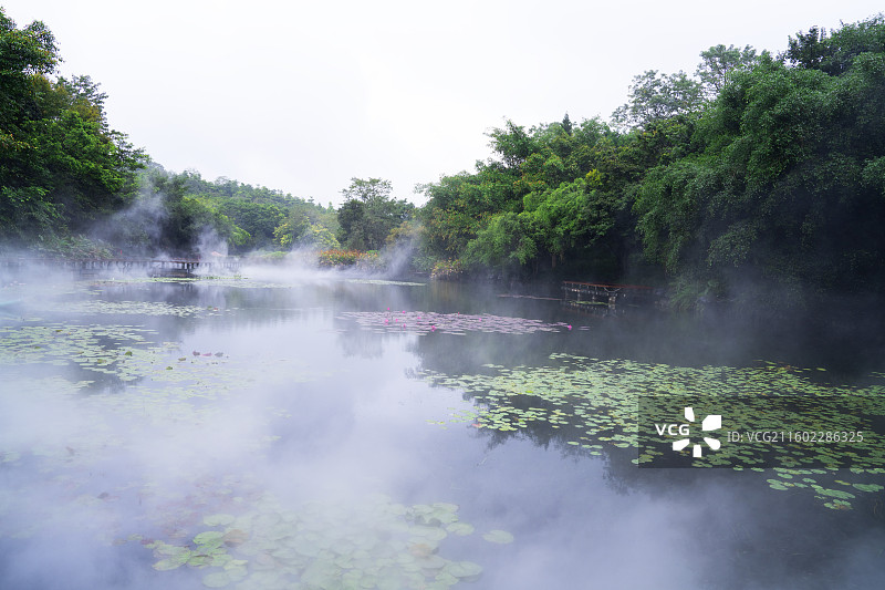 仙境般的南宁市青秀山桂花园赏荷湖美丽风景图片素材