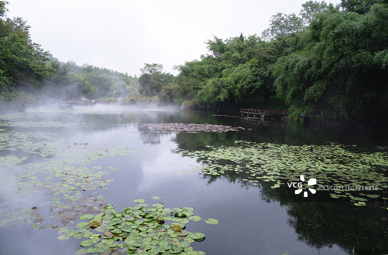 仙境般的南宁市青秀山桂花园赏荷湖美丽风景图片素材