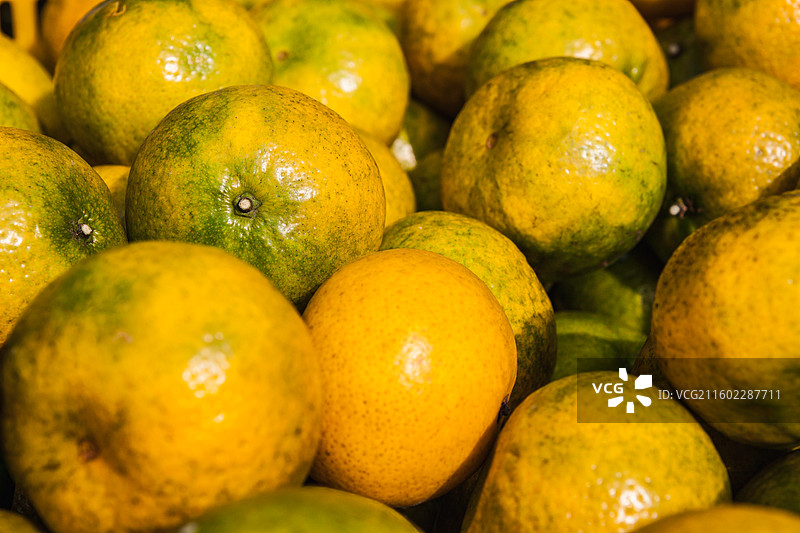 新会柑收成，新会二红柑图片素材