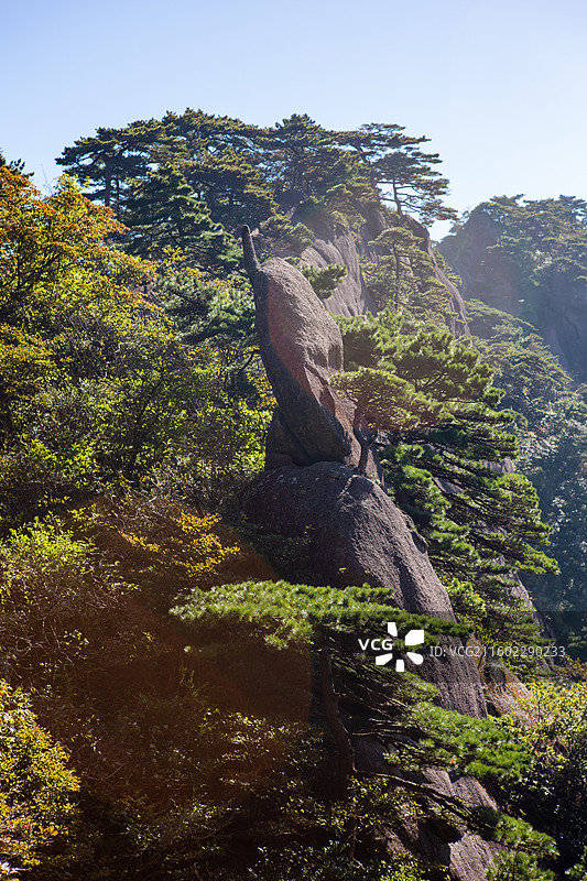 黄山仙人指路景观怪石图片素材