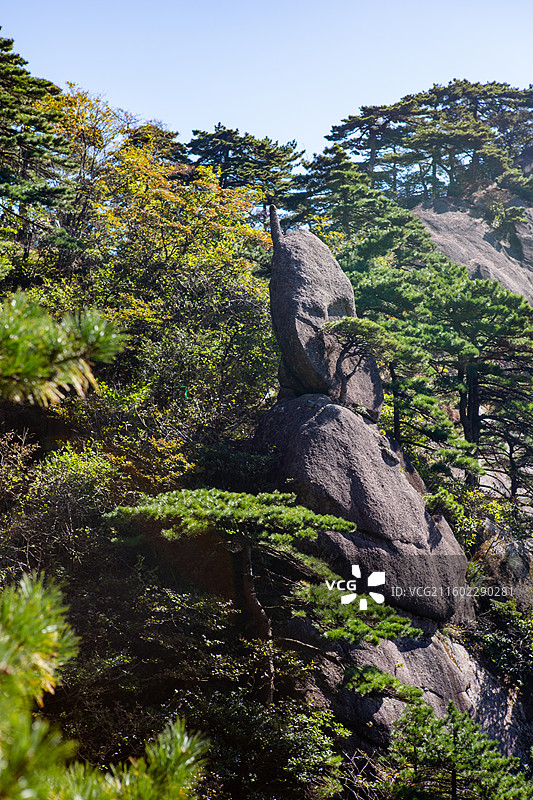 黄山仙人指路景观怪石图片素材