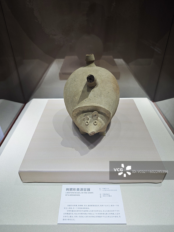 厦门博物馆叙利亚特展图片素材