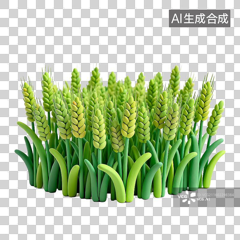 【AI数字艺术】绿色的小麦穗特写图片素材
