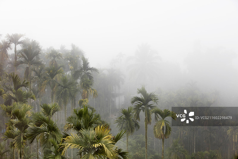 海南：锦绣河山（6）图片素材