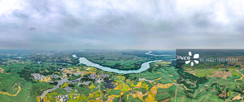 广西蔗乡——来宾市兴宾区大湾镇：万亩水稻和糖料蔗进入丰收季节图片素材