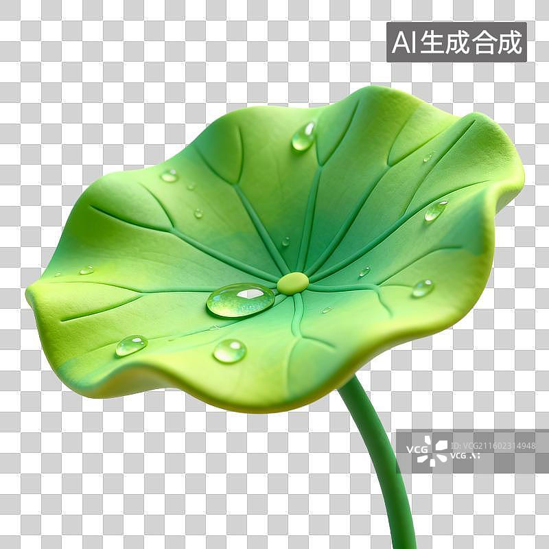 【AI数字艺术】带有水珠的绿色荷叶图片素材