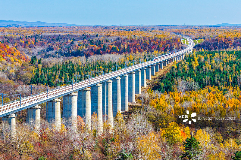 秋季日光下，沈白高铁复兴号驶过吉林省白山市抚松县松江河镇、长白山池西区五彩斑斓的秋色中。图片素材