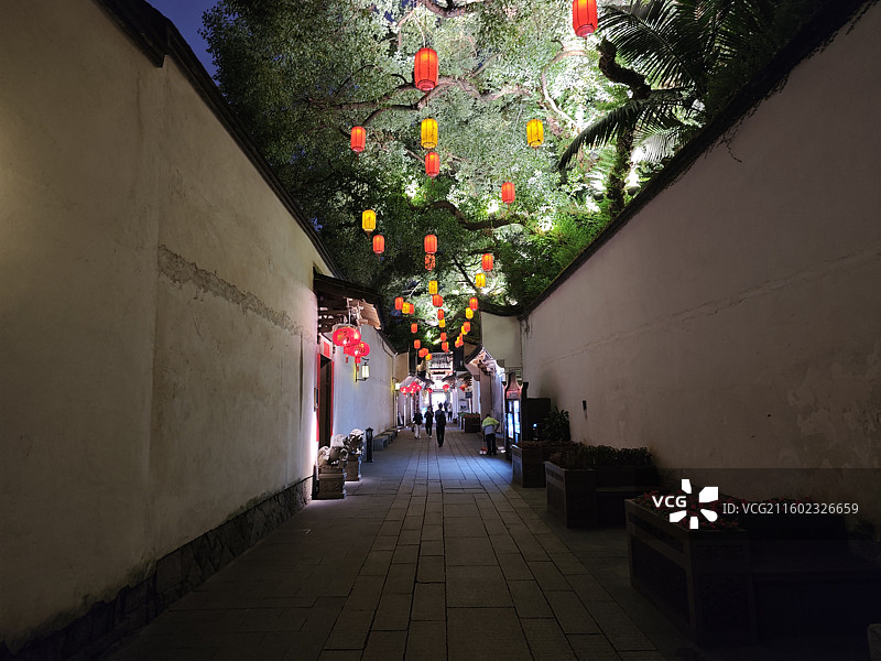 南后街三坊七巷夜景巷子树木灯笼图片素材