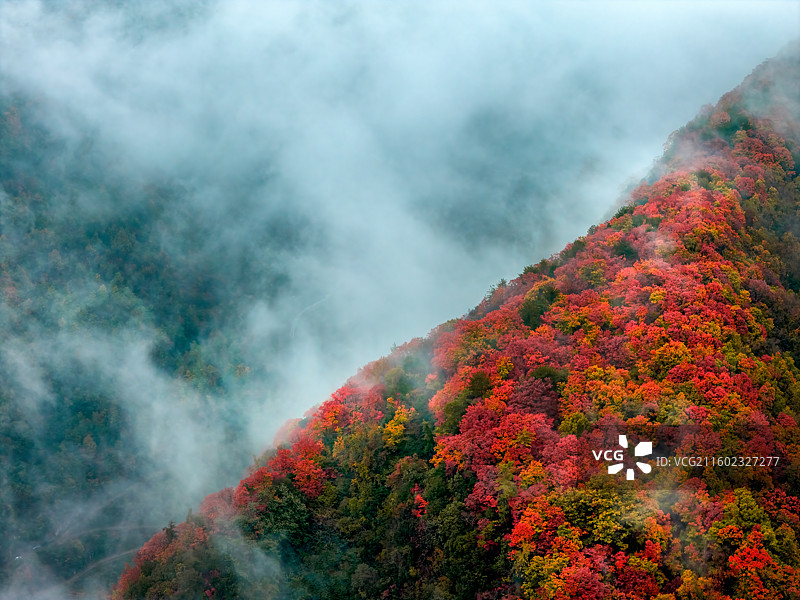 四川省广元市旺苍县金秋米仓山风光图片素材