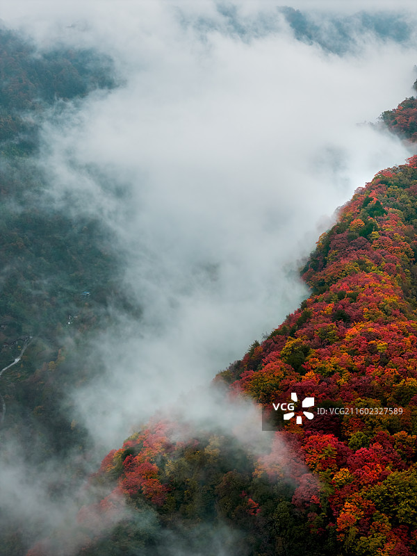 四川省广元市旺苍县金秋米仓山风光图片素材