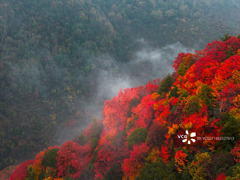 四川省广元市旺苍县金秋米仓山风光图片素材