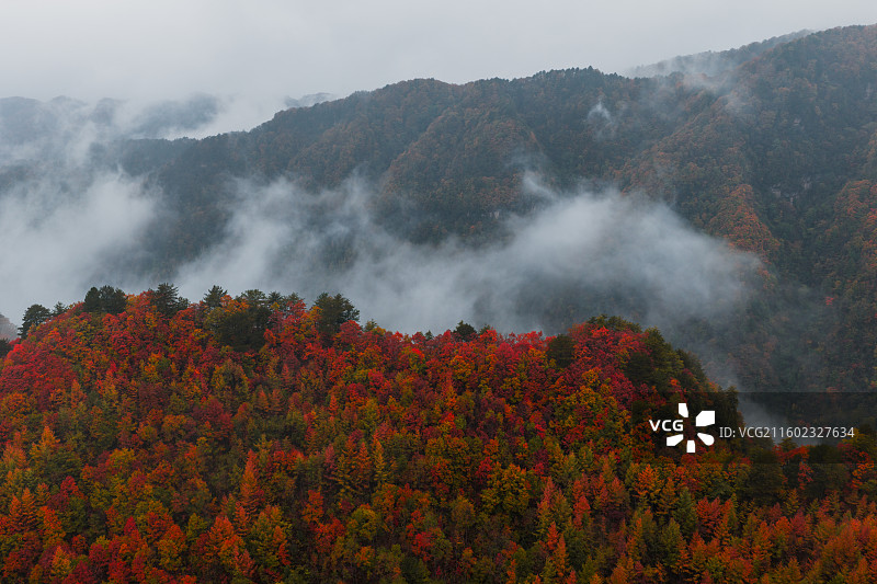 四川省广元市旺苍县金秋米仓山风光图片素材