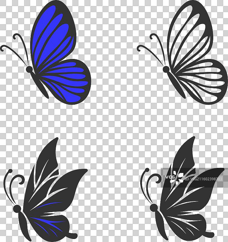 蝴蝶设计元素图片素材