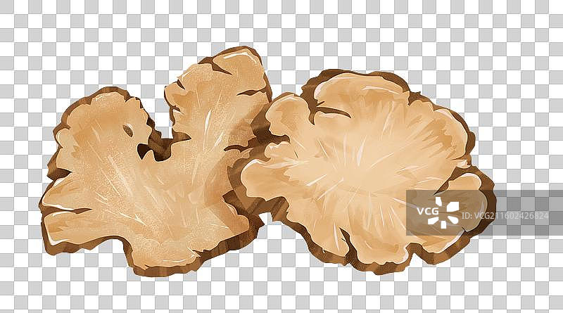 川芎中药材药材插画海报图片素材