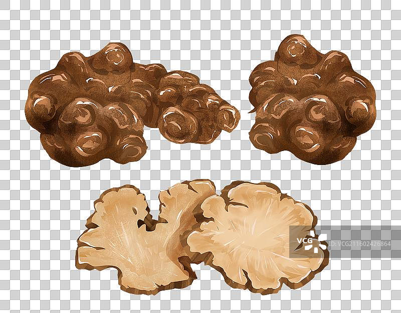 川芎中药材药材插画海报图片素材