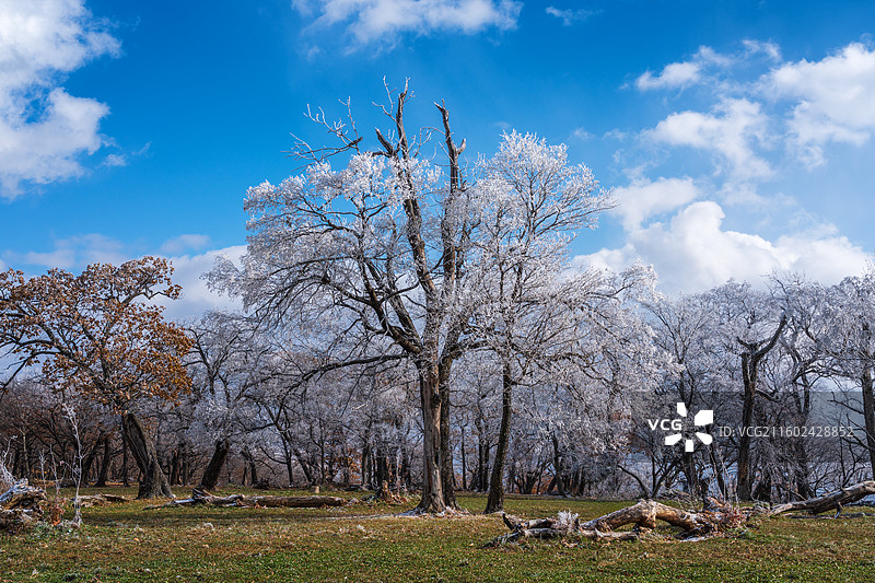 吉林四方顶景区山顶雾凇风光美景图片素材