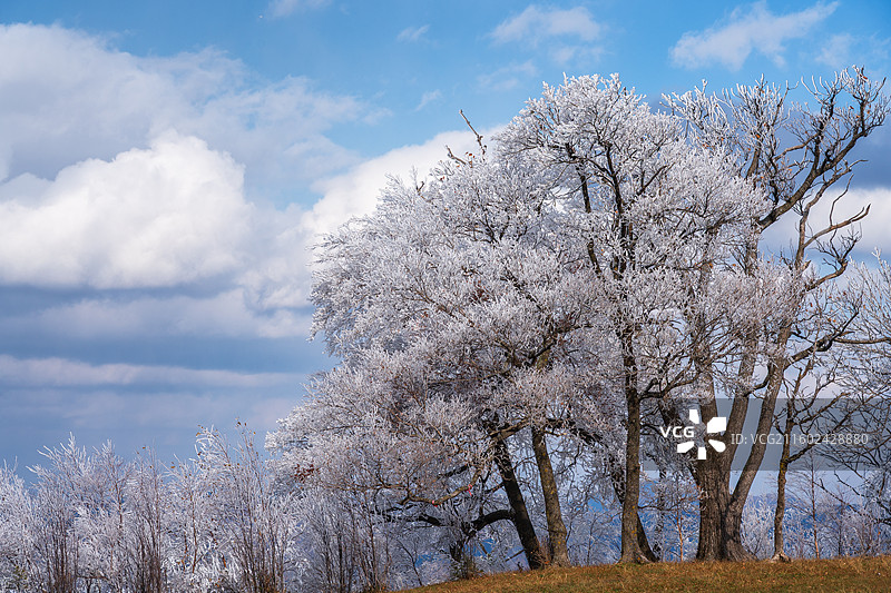 吉林四方顶景区山顶雾凇风光美景图片素材