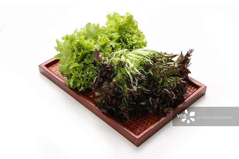 新鲜珊湖生菜图片素材