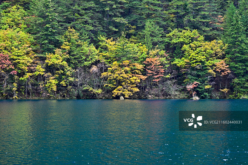 九寨沟静海 彩林与海子图片素材