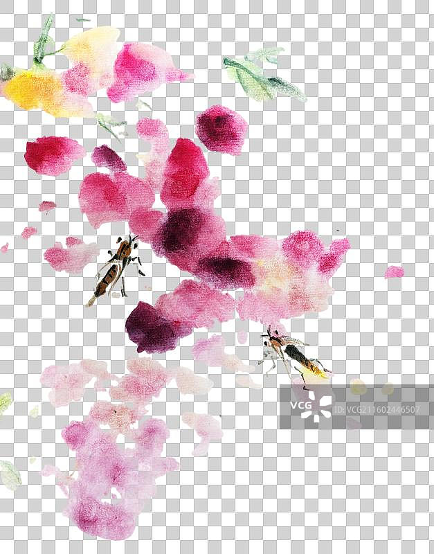 东方美学 高雅 禅意 手绘 国画 水墨 花 紫藤花 装饰 点缀图片素材