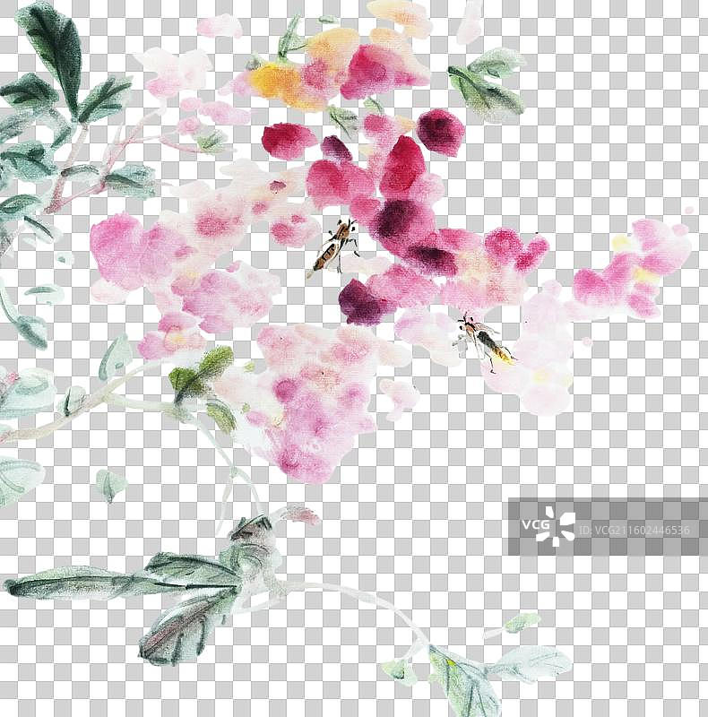 东方美学 高雅 禅意 手绘 国画 水墨 花 紫藤花 装饰 点缀图片素材