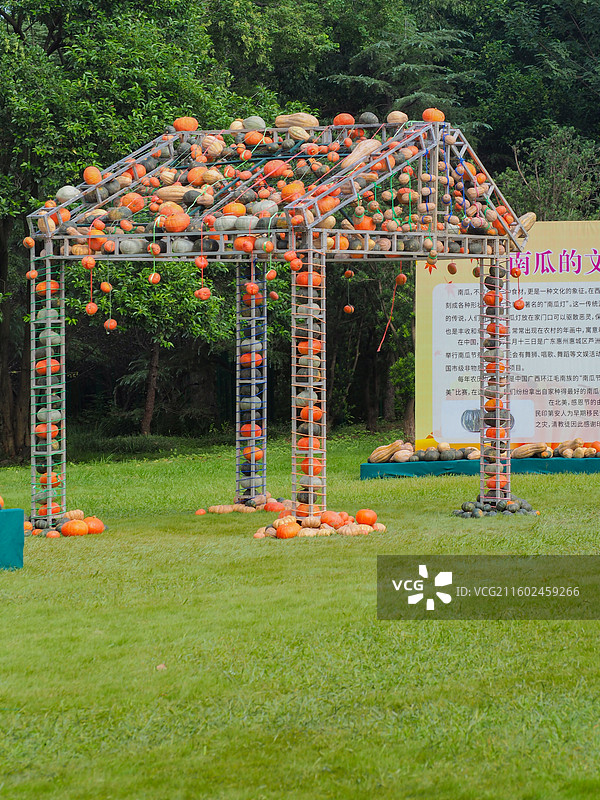 合肥植物园南瓜节图片素材