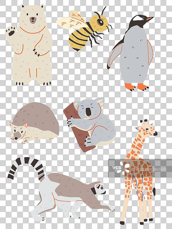 动物合集图片素材